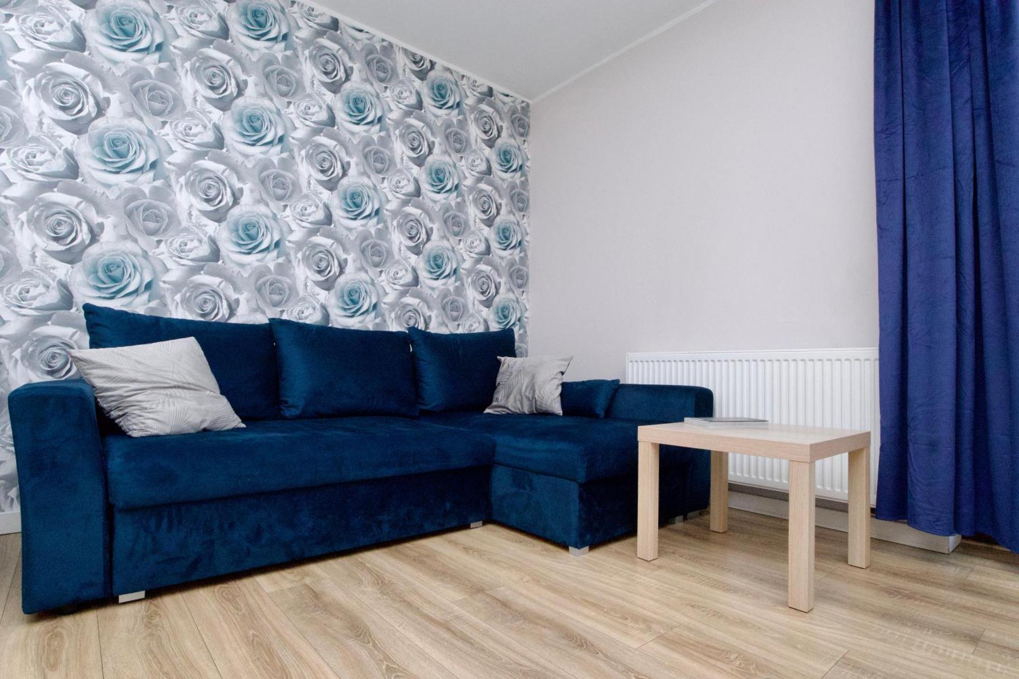 One-Bedroom Apartment 1